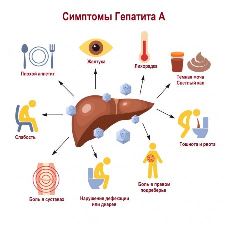 ВНИМАНИЕ!  ГЕПАТИТ А!